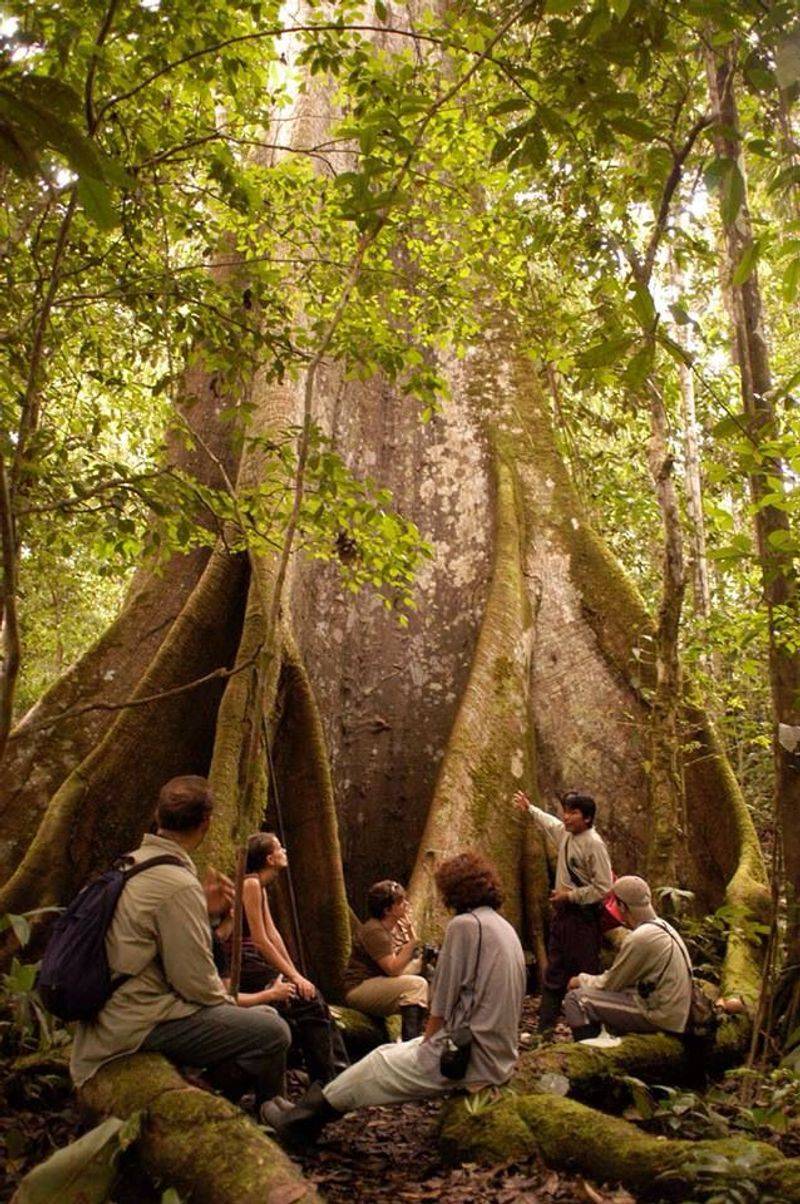 Amazon Rainforest Trek