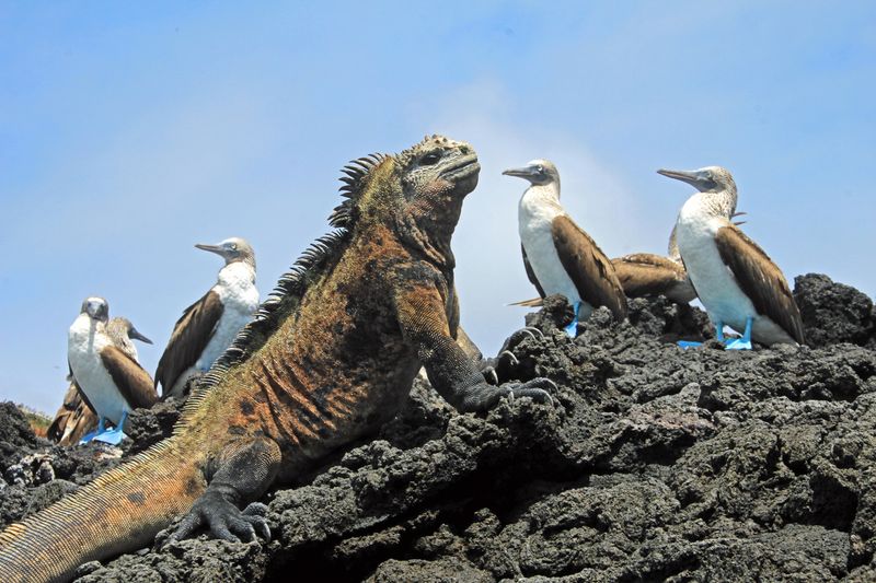 Galápagos Islands Exploration