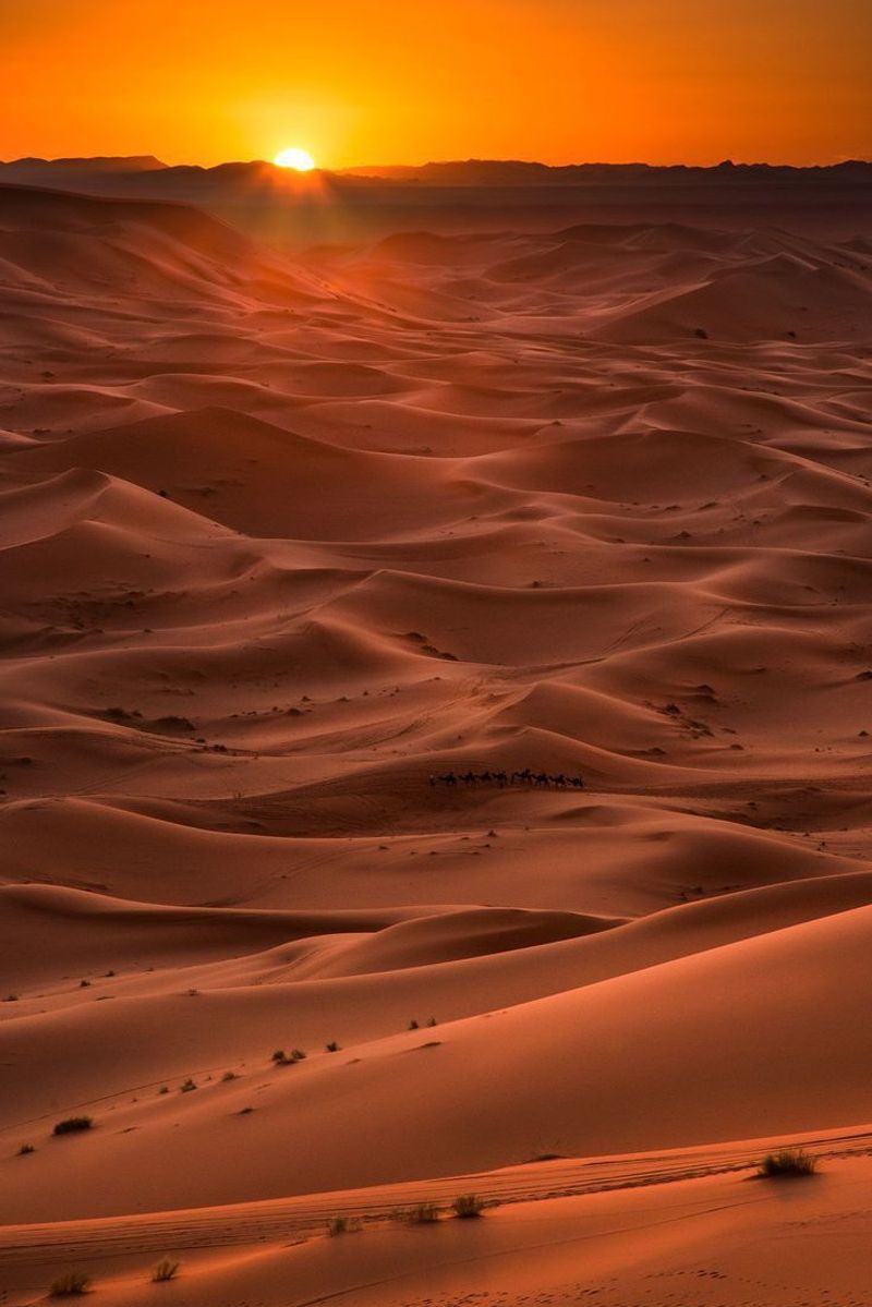 The Stillness of the Sahara