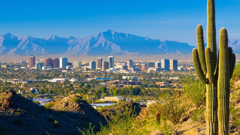 Sonoran Desert