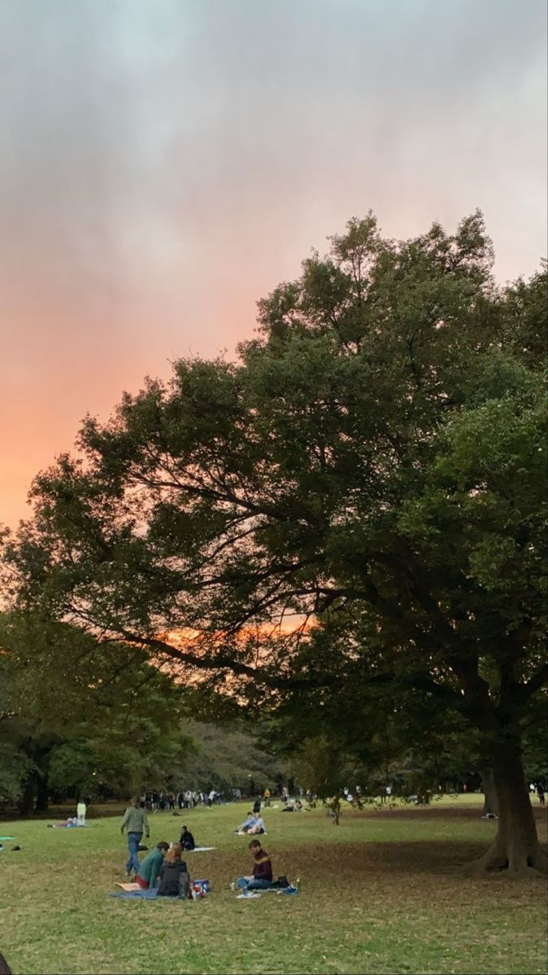 Yoyogi Park, Tokyo
