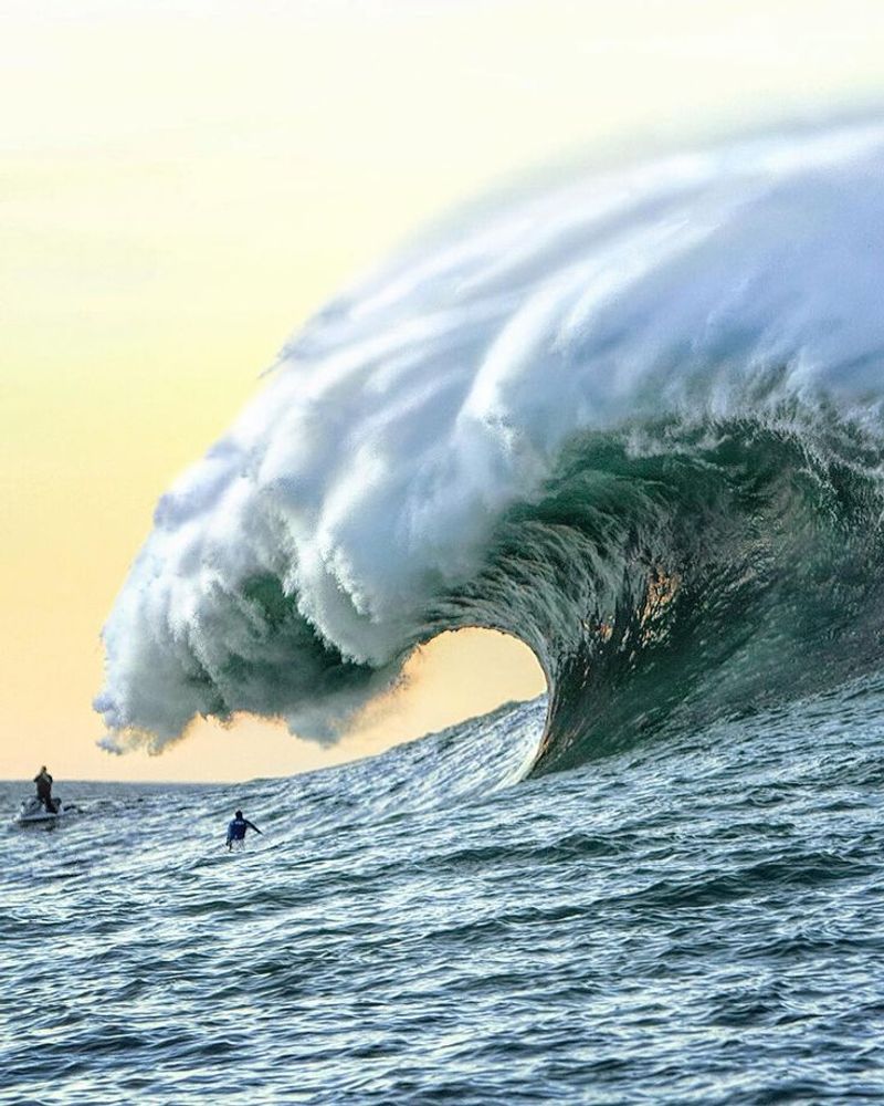 Mavericks, California, USA