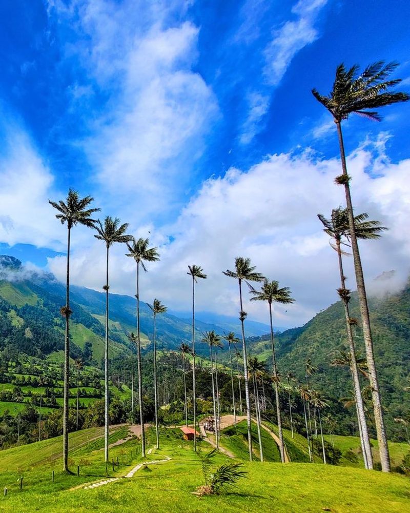 Salento, Colombia