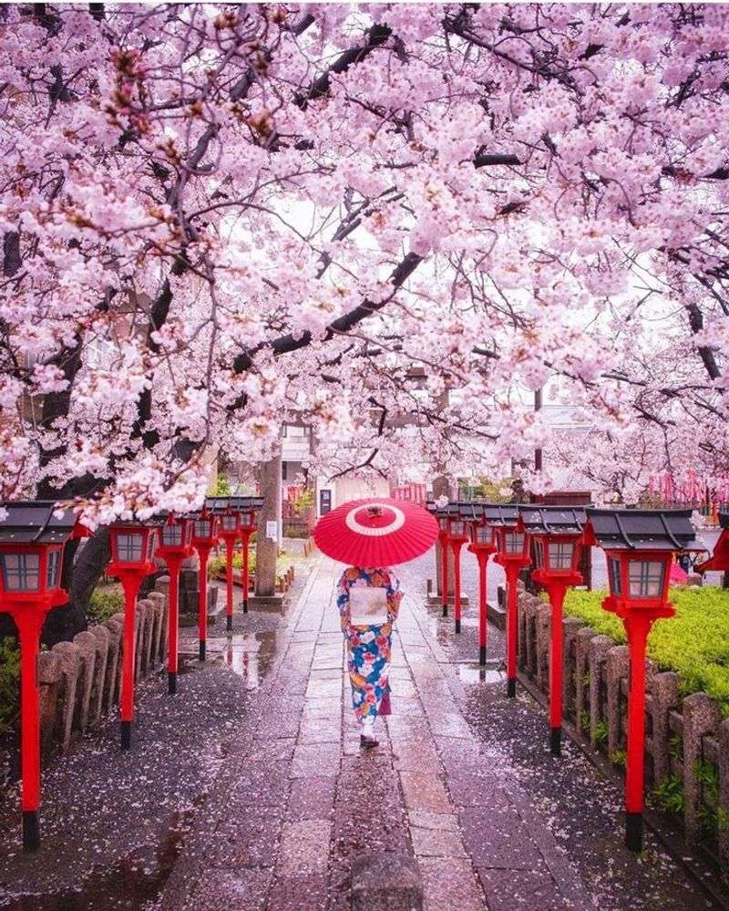 Kyoto, Japan