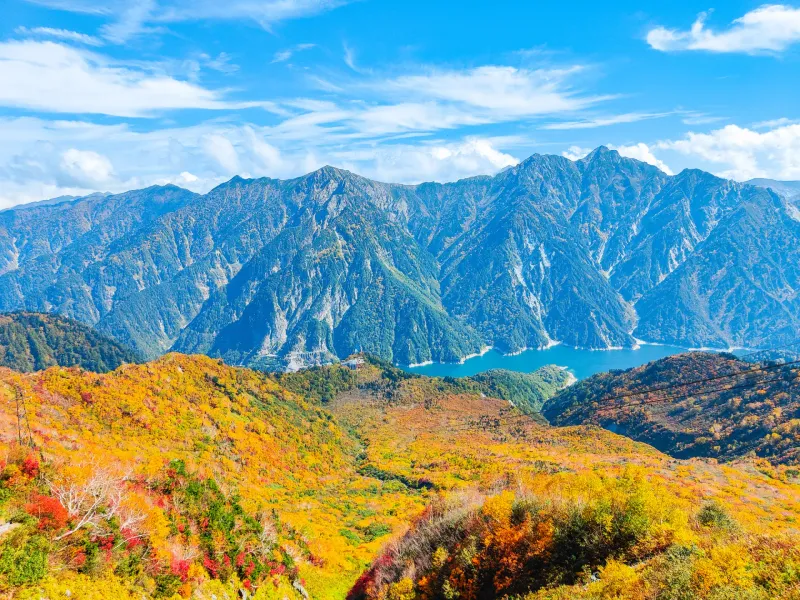 Chubu's Alpine Adventures