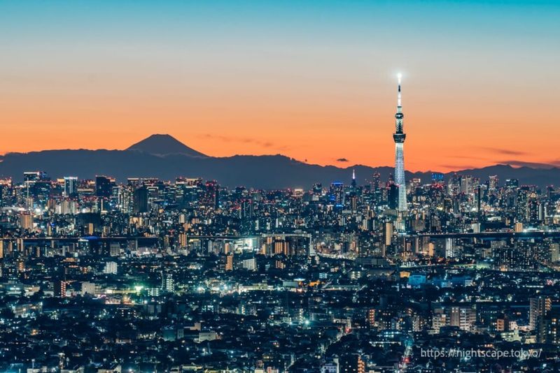 Serene Escape - Tokyo