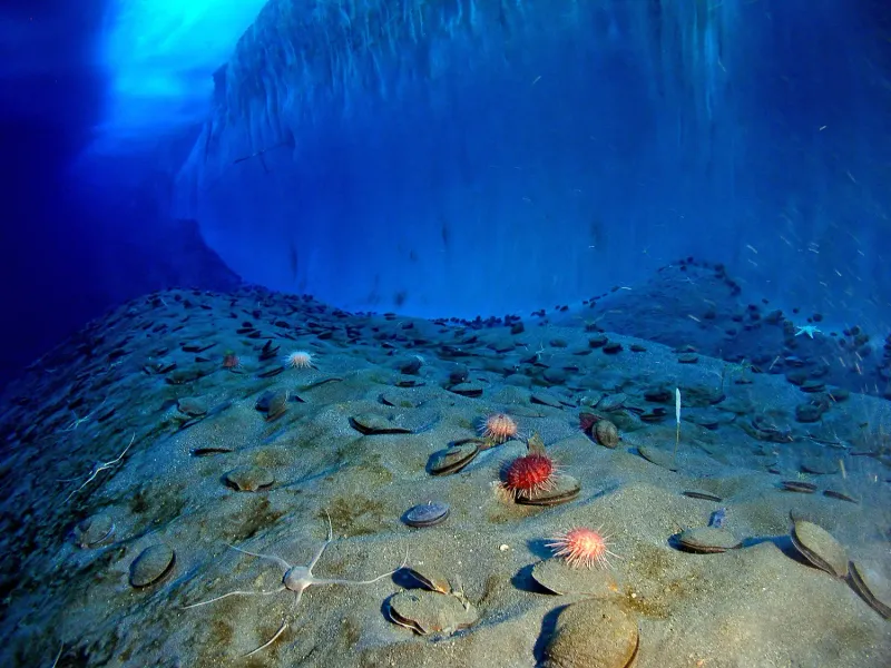 Antarctic Waters, South Pole