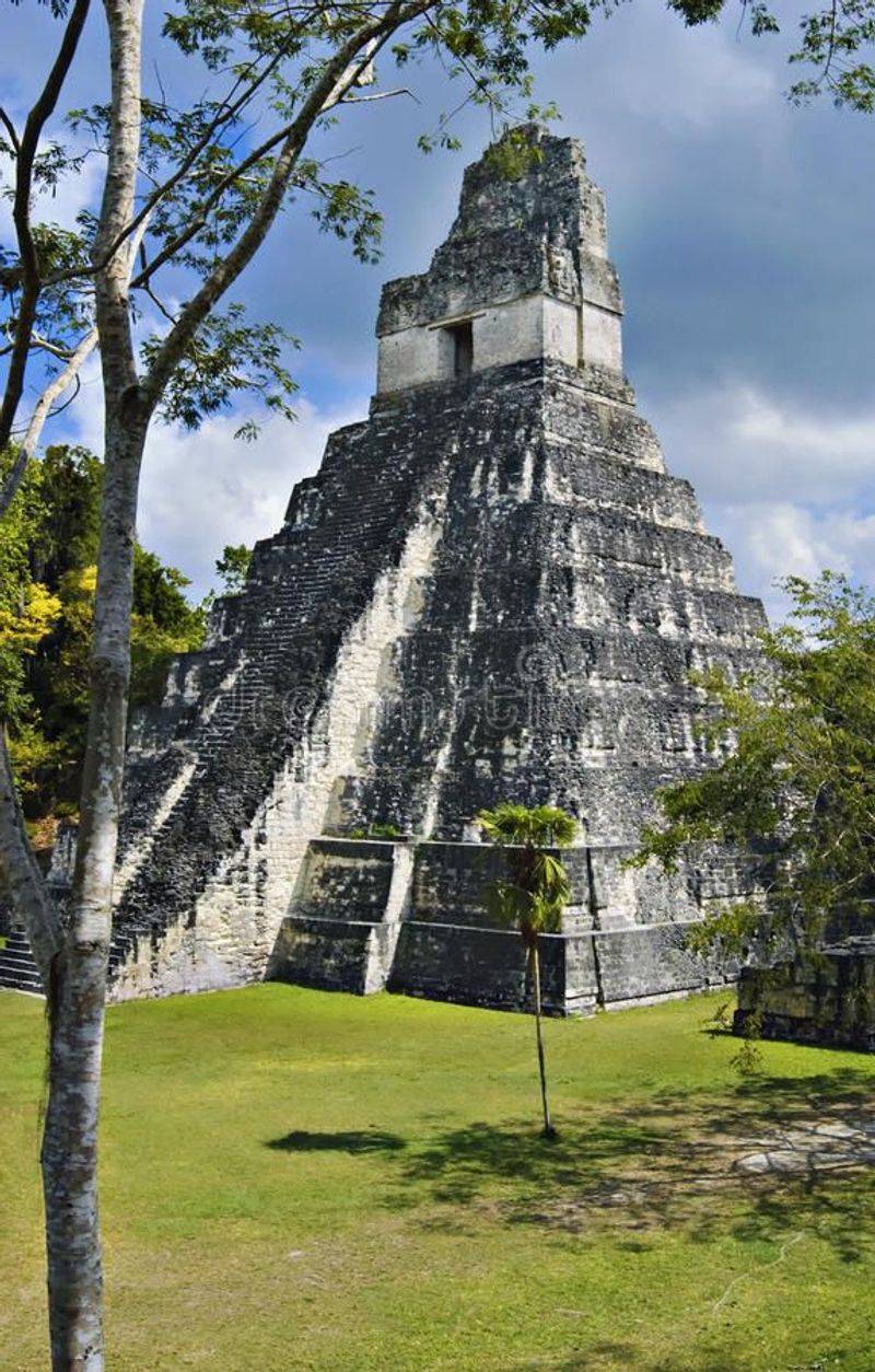 The Enigmatic Temple of Tikal