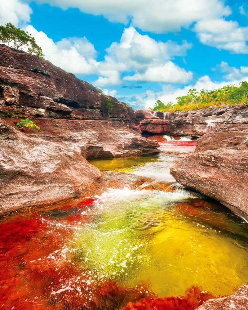 Caño Cristales, Colombia