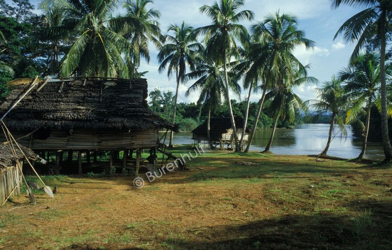 Sepik River, Papua New Guinea
