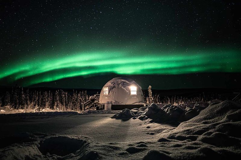 Alaska - Borealis Basecamp