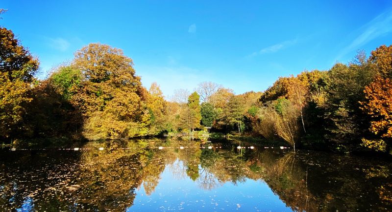 Hampstead Ponds