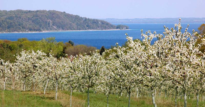 Traverse City, Michigan
