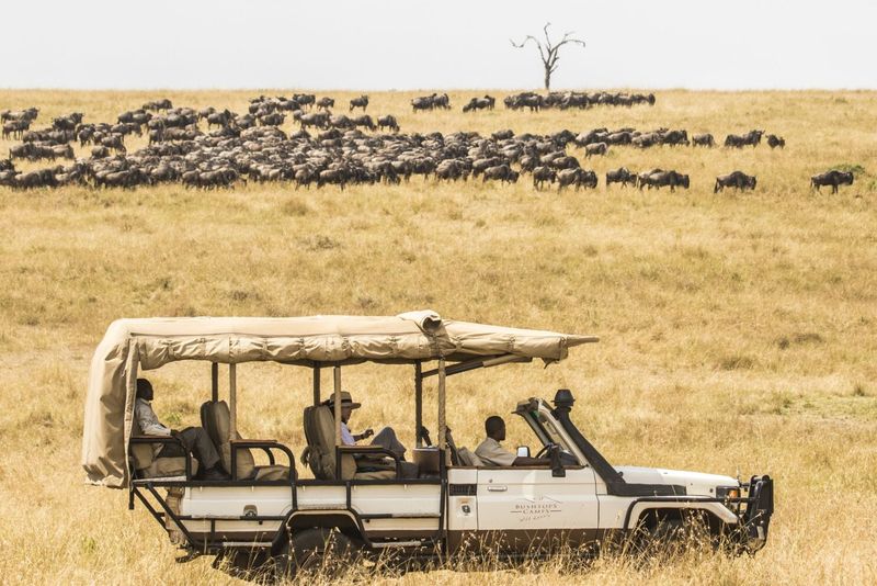 Safari in Serengeti, Tanzania