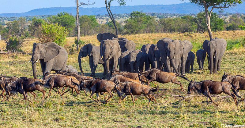 Serengeti National Park
