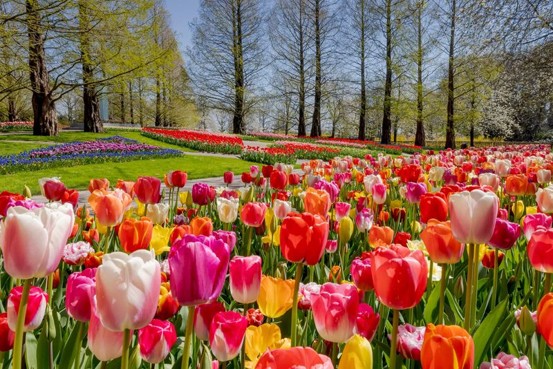 April: Amsterdam, Netherlands