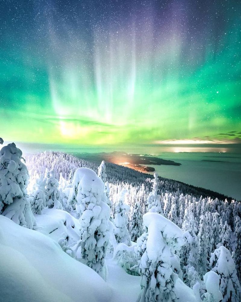 Koli National Park, Finland