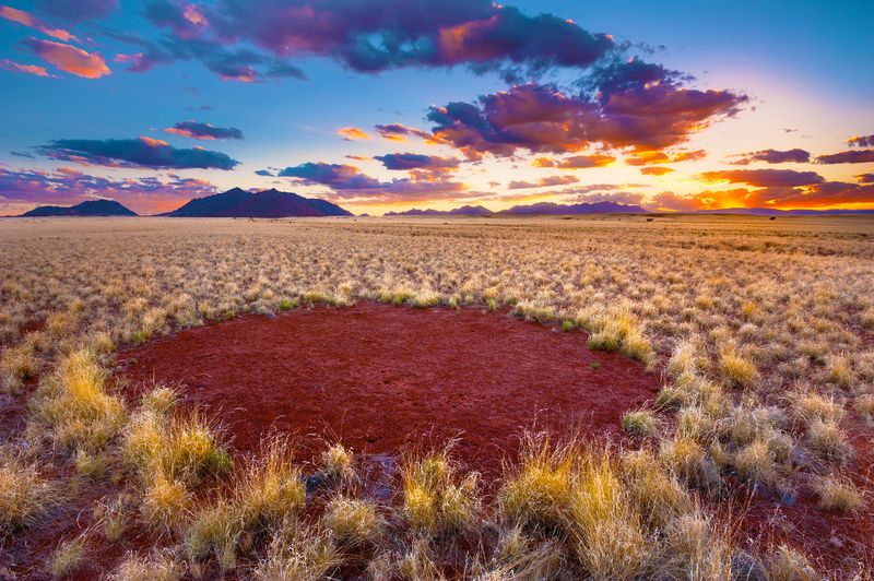 Fairy Circles of Namibia