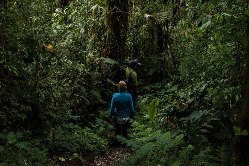 Exploring the Amazon Rainforest