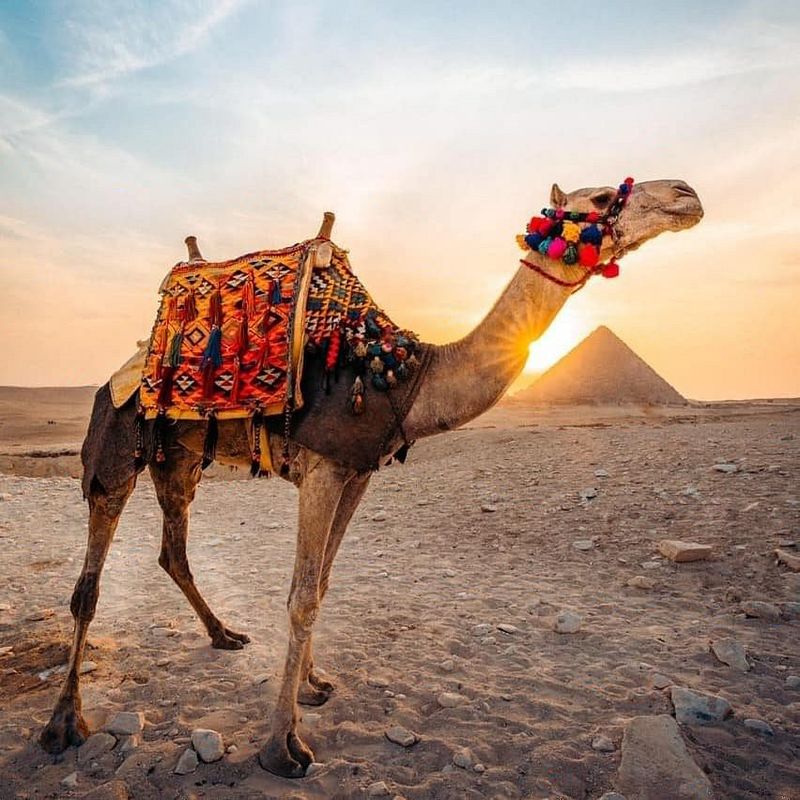 The Ancient Pyramids of Giza