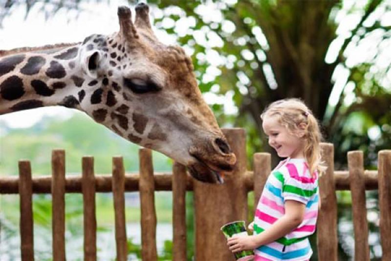 ZooWorld Zoological Park
