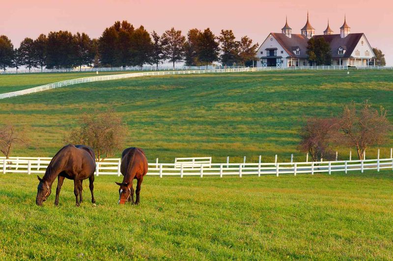 Lexington, Kentucky