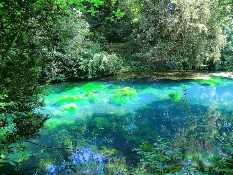 The Silent Pool