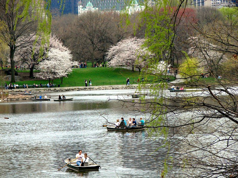 Central Park