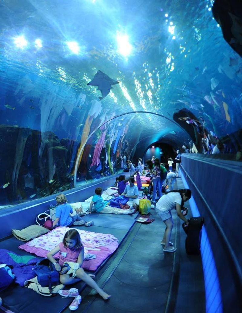 Ripley's Aquarium
