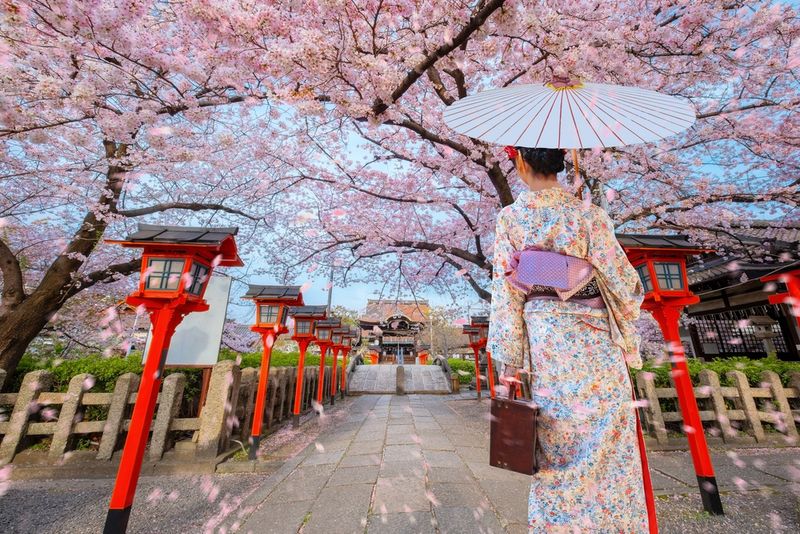 Cultural Kyoto