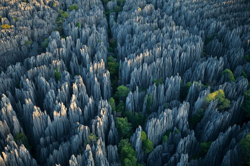 Stone Forest of Madagascar
