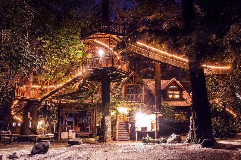 The Out'n'About Treehouse Treesort