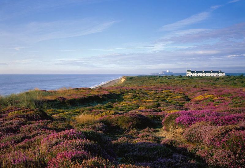 Dunwich Heath