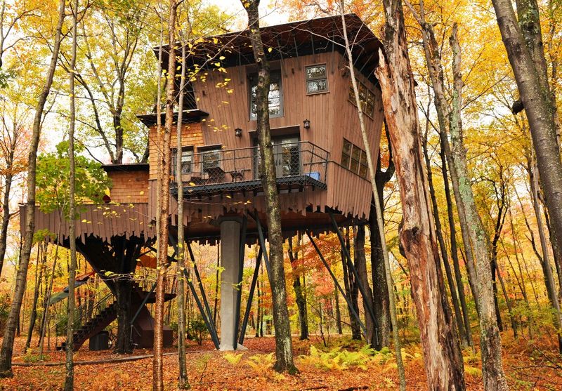 The Winvian Farm Treehouse