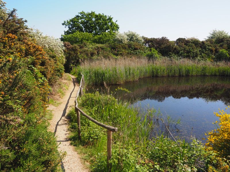 Fingringhoe Wick