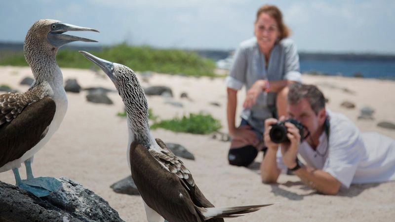 Exploring the Galápagos Islands