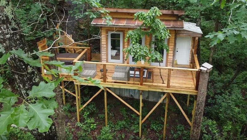 Alabama - The Treehouse at Candlelight Forest