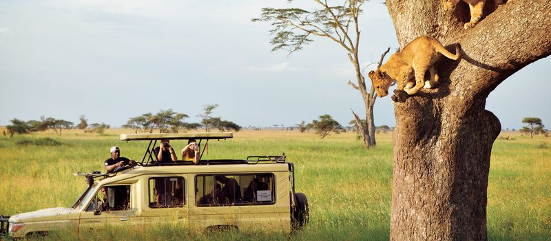 Safari in the Serengeti