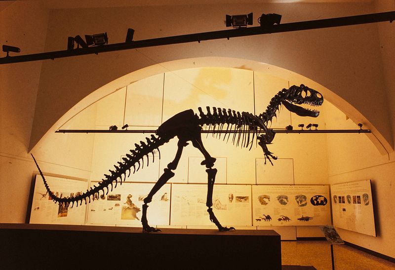 Museo di Scienze Naturali