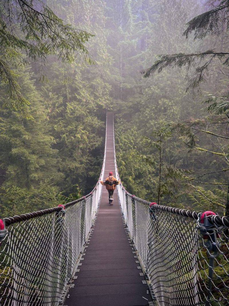 Lynn Canyon Park