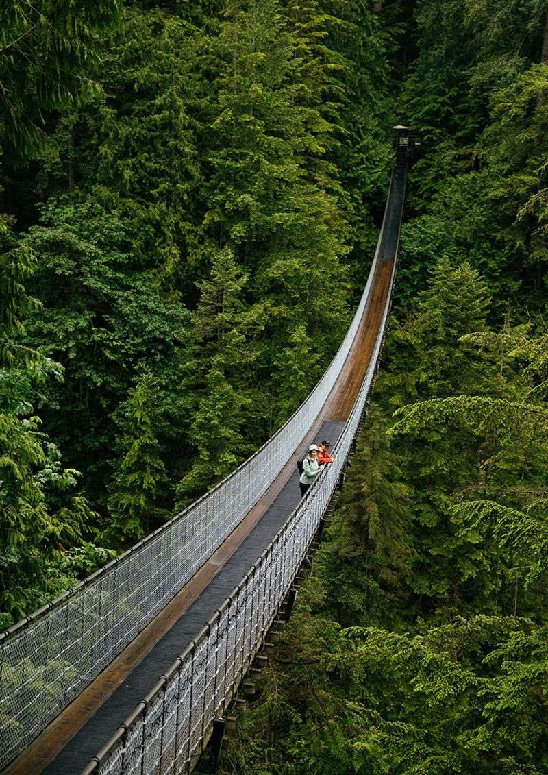 Capilano Suspension Bridge Park