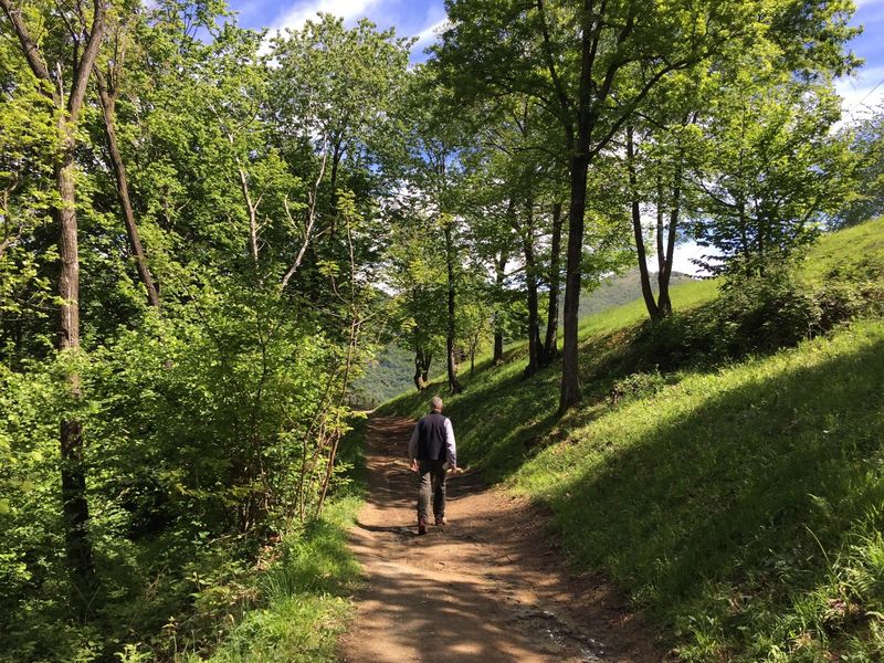 Parco dei Colli di Bergamo