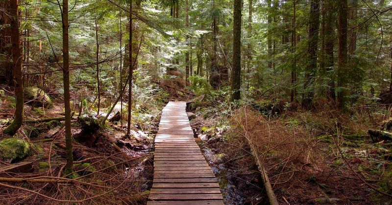 Baden Powell Trail
