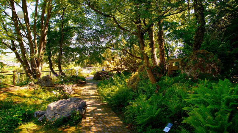 Botanical Garden Bergamo