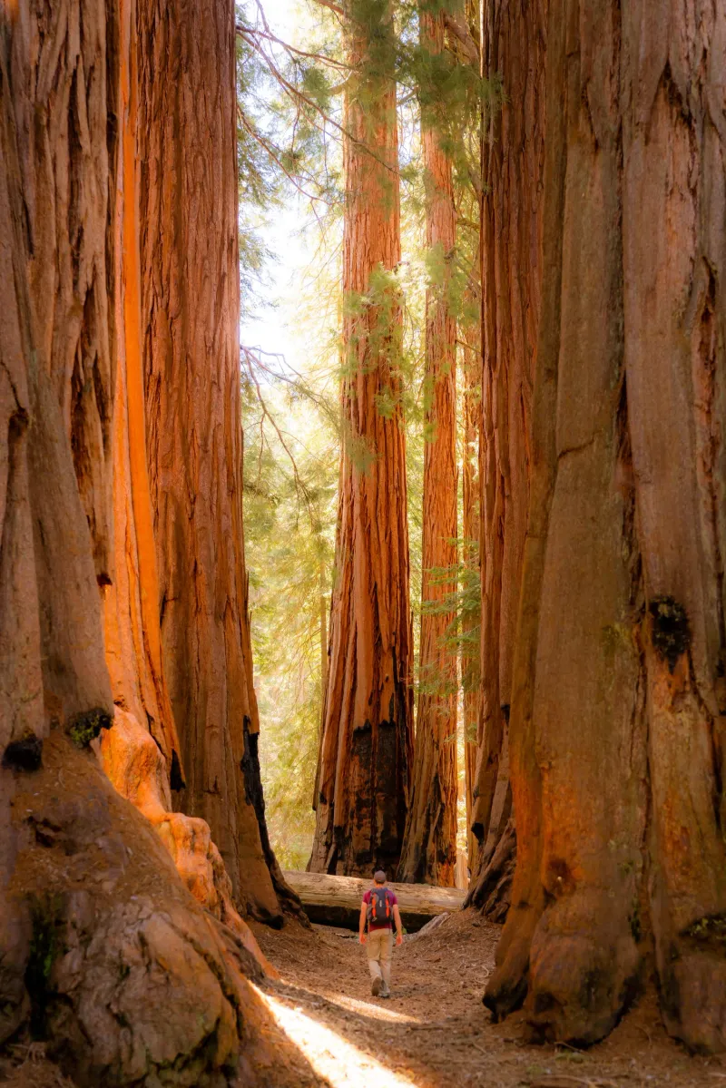 Sequoia and Kings Canyon Expedition