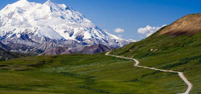 Denali Wilderness Journey