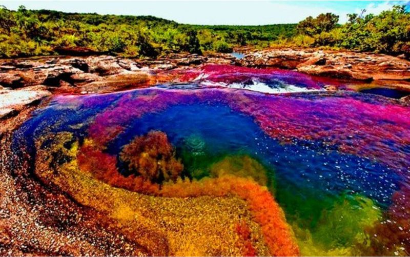 Cano Cristales, Colombia