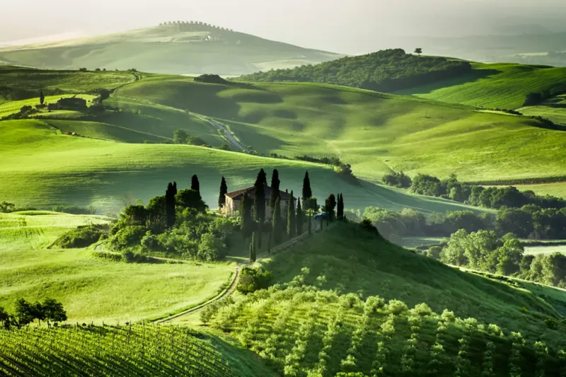 Tuscany's Rolling Vineyards