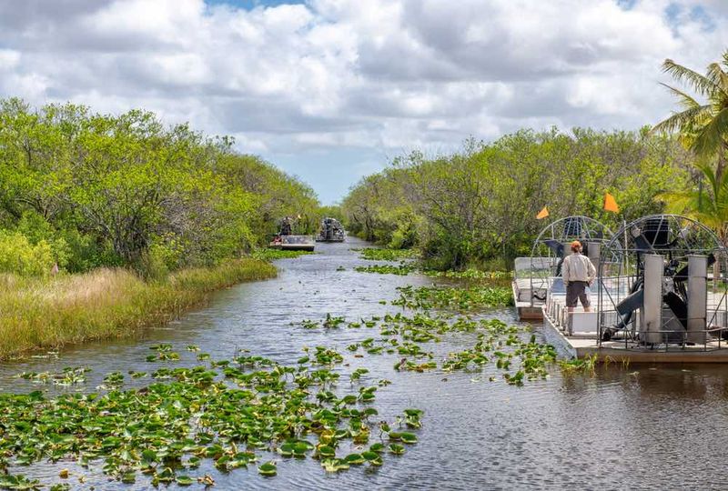 Everglades Eco-Adventure