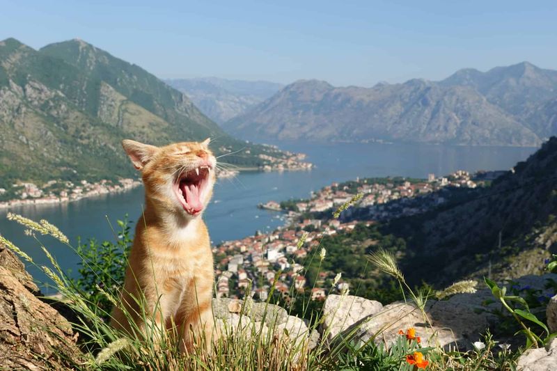 Kotor, Montenegro